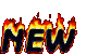 new1.gif